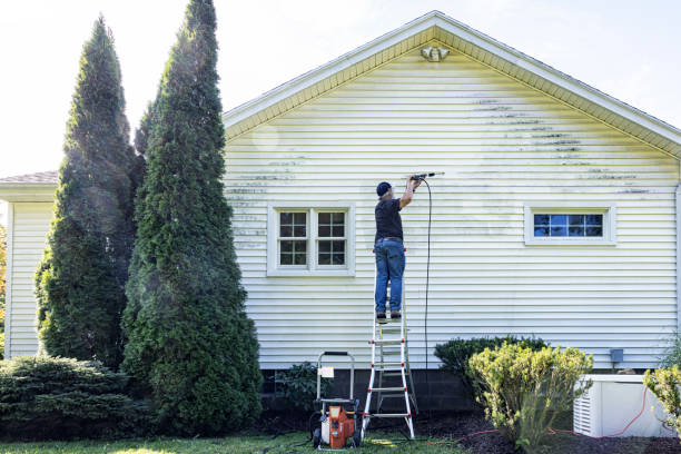 Best Local Pressure Washing Services  in Booneville, MS